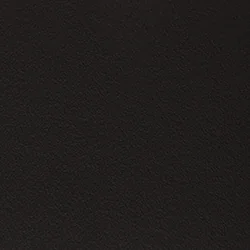 Cuoietto Testa di moro