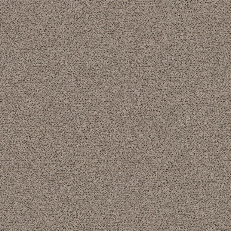 Mollis Dune | B Category