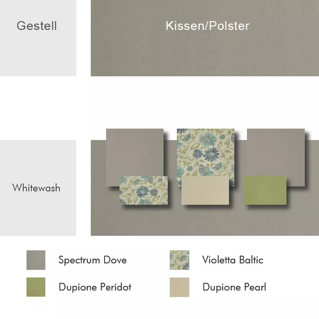 Whitewash / Spectrum Dove / Violetta