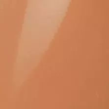 Roasted Pumpkin Glossy