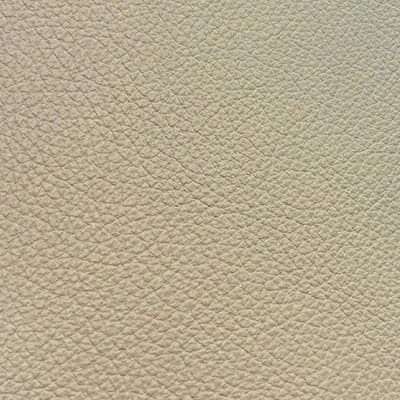 R - Leder 16 Lichene