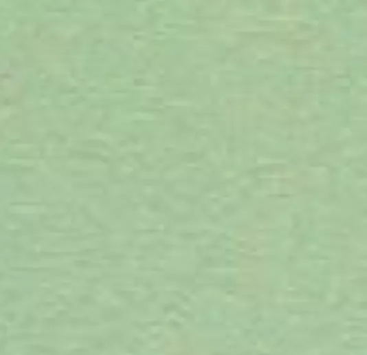 Light Green846D