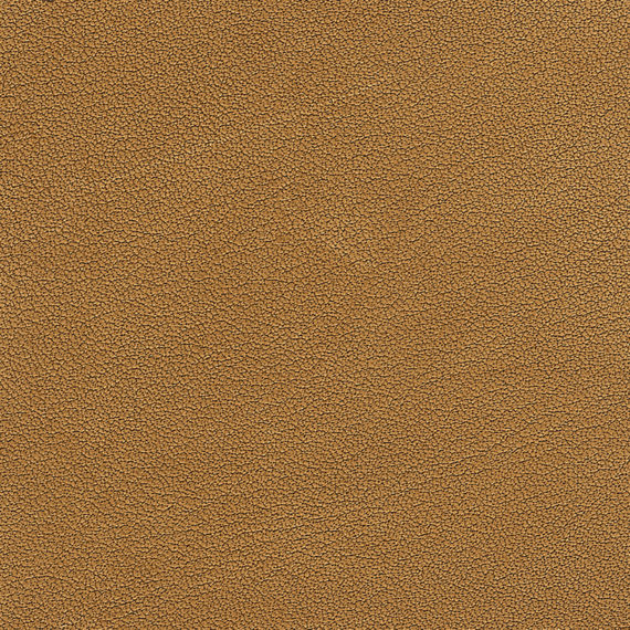 Leder E2 Föhn Ambra