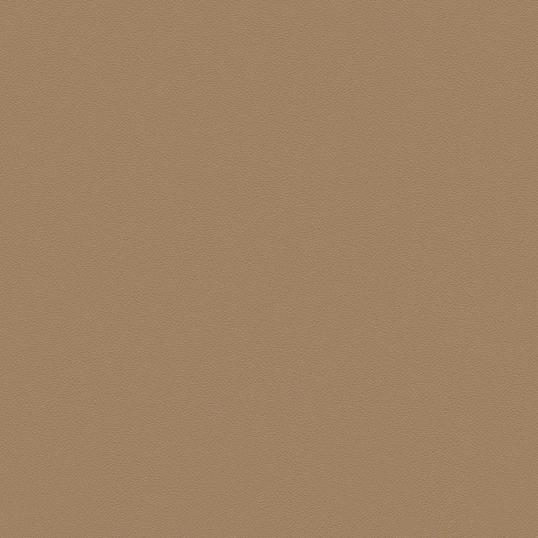 Camel Hair | Colorsphere