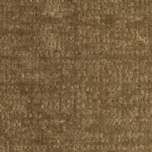 PG 5 - Catania / Shitake 124