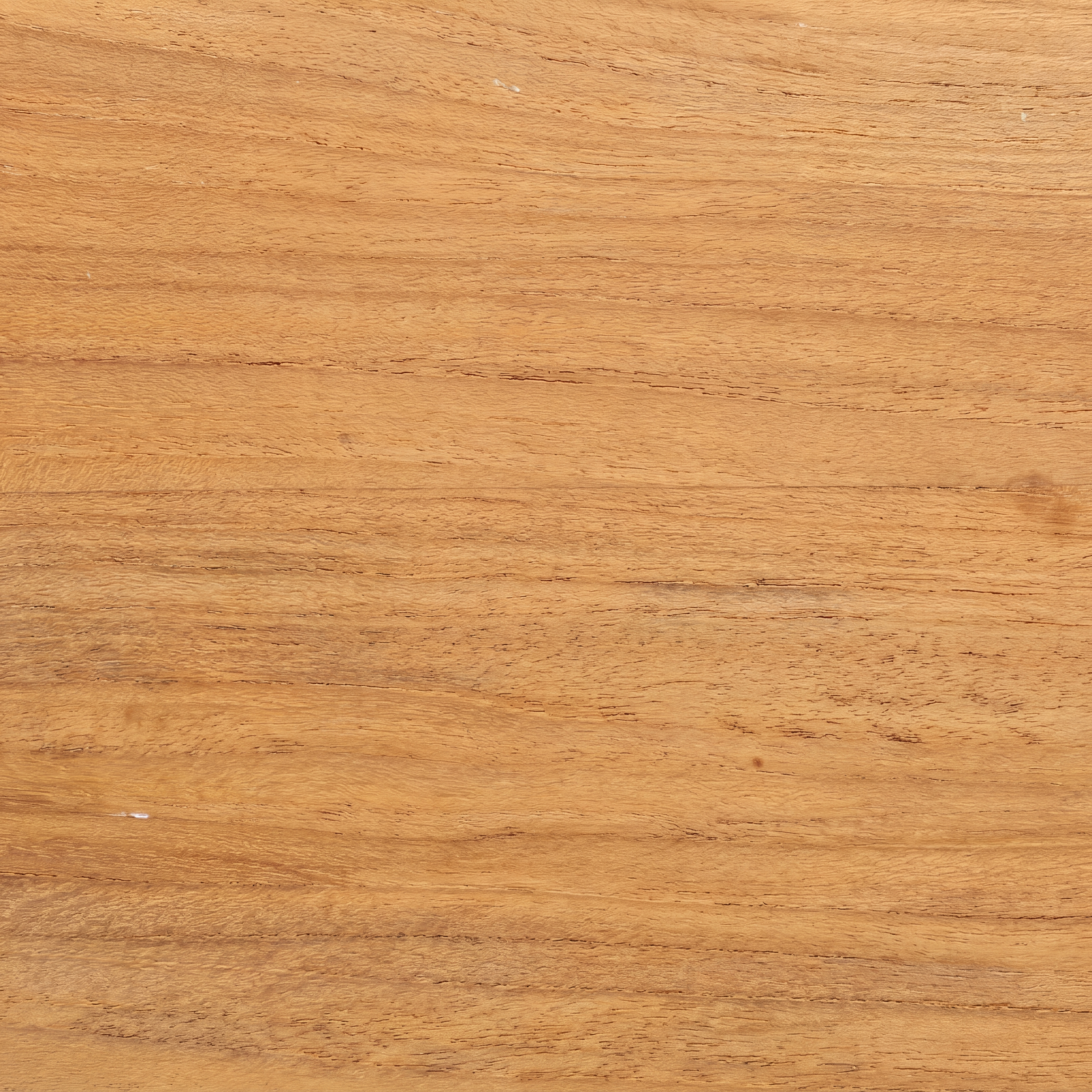 Teak - W