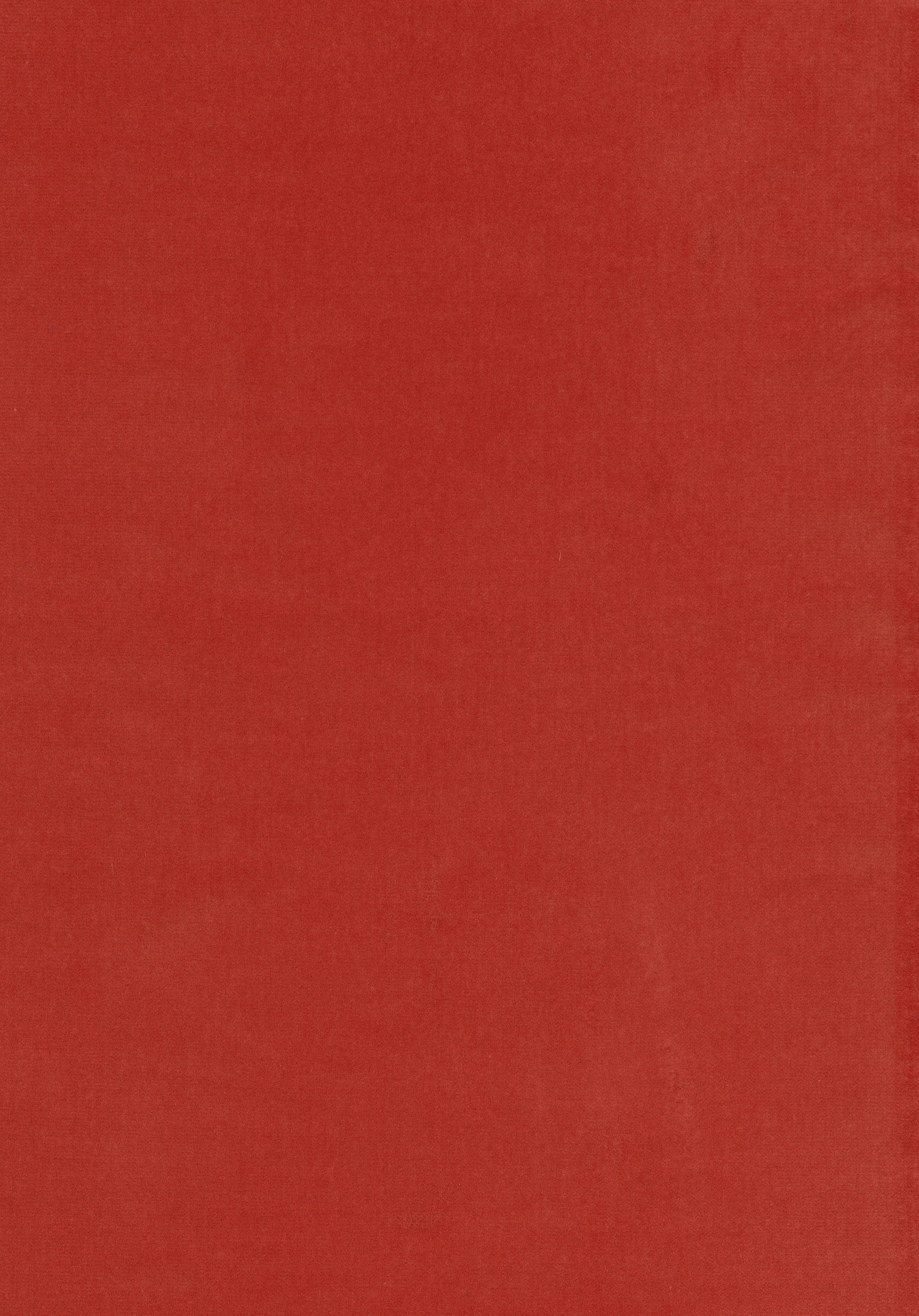 Kategorie W A5998 Harald - Arancio