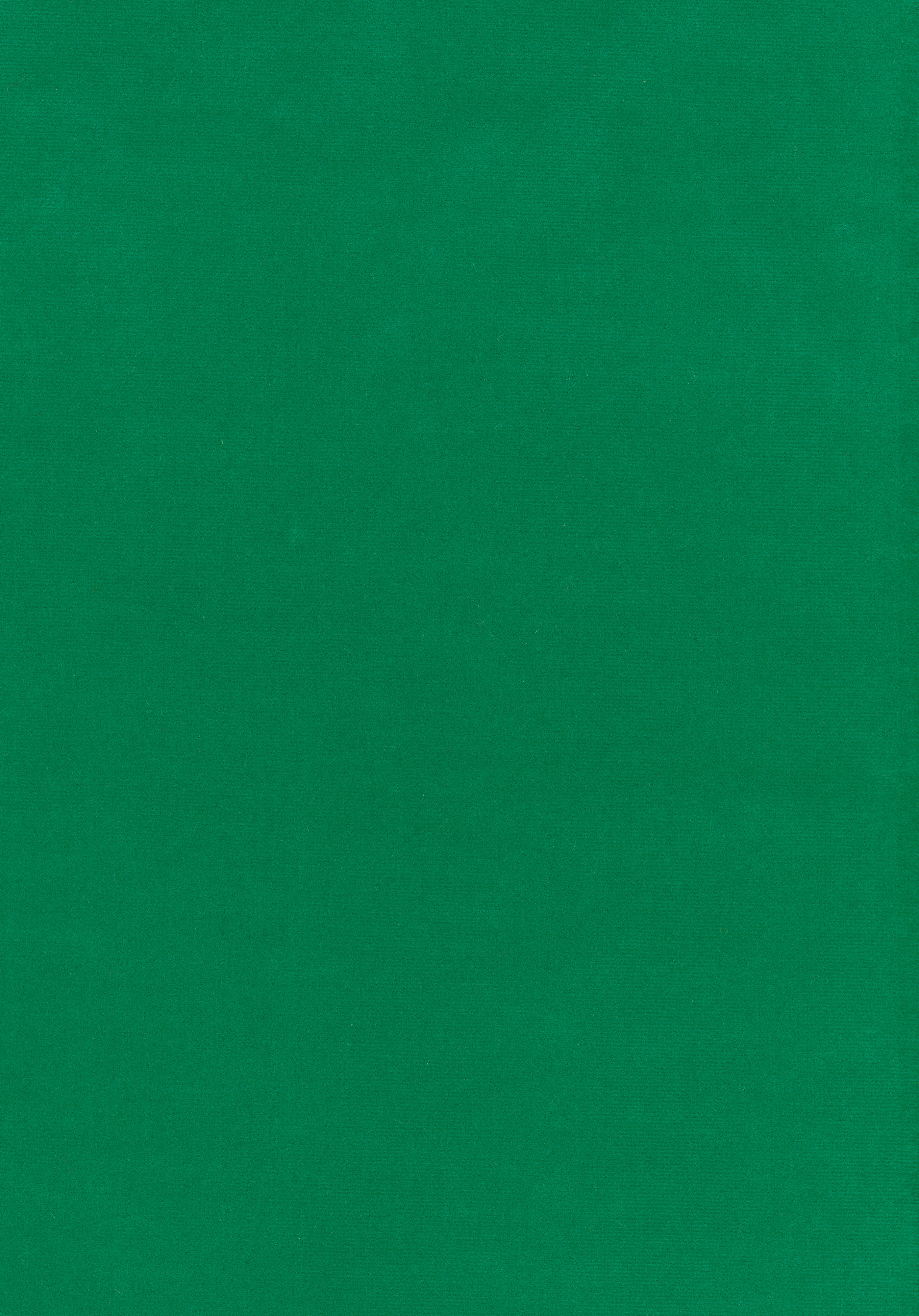 Kategorie W A7793 Harald - Verde Brillante