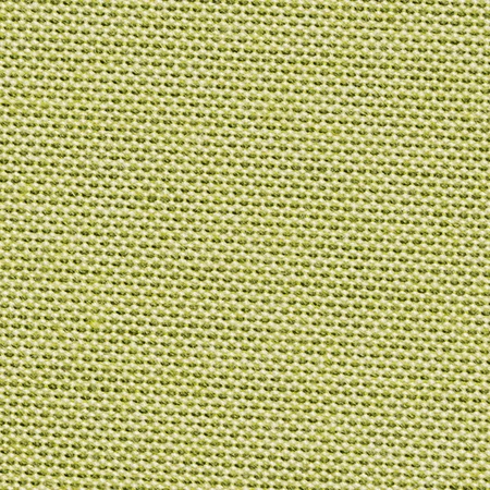 Solids & Stripes Lichen 3970