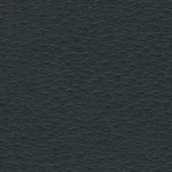 Leder Namibia Anthrazit