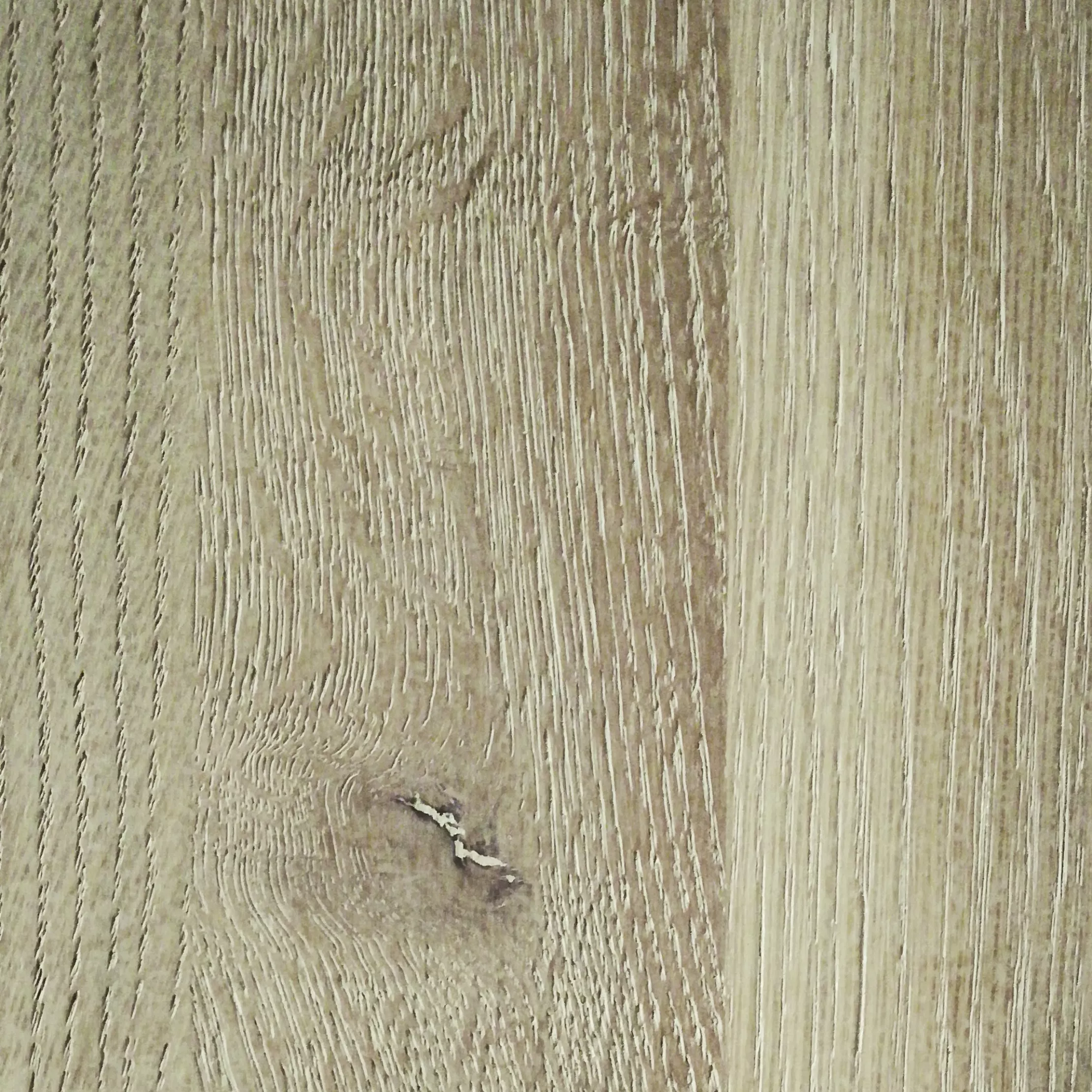 Eiche mit Knoten: Milchweiß