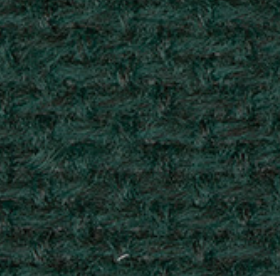 Autumn AU00971