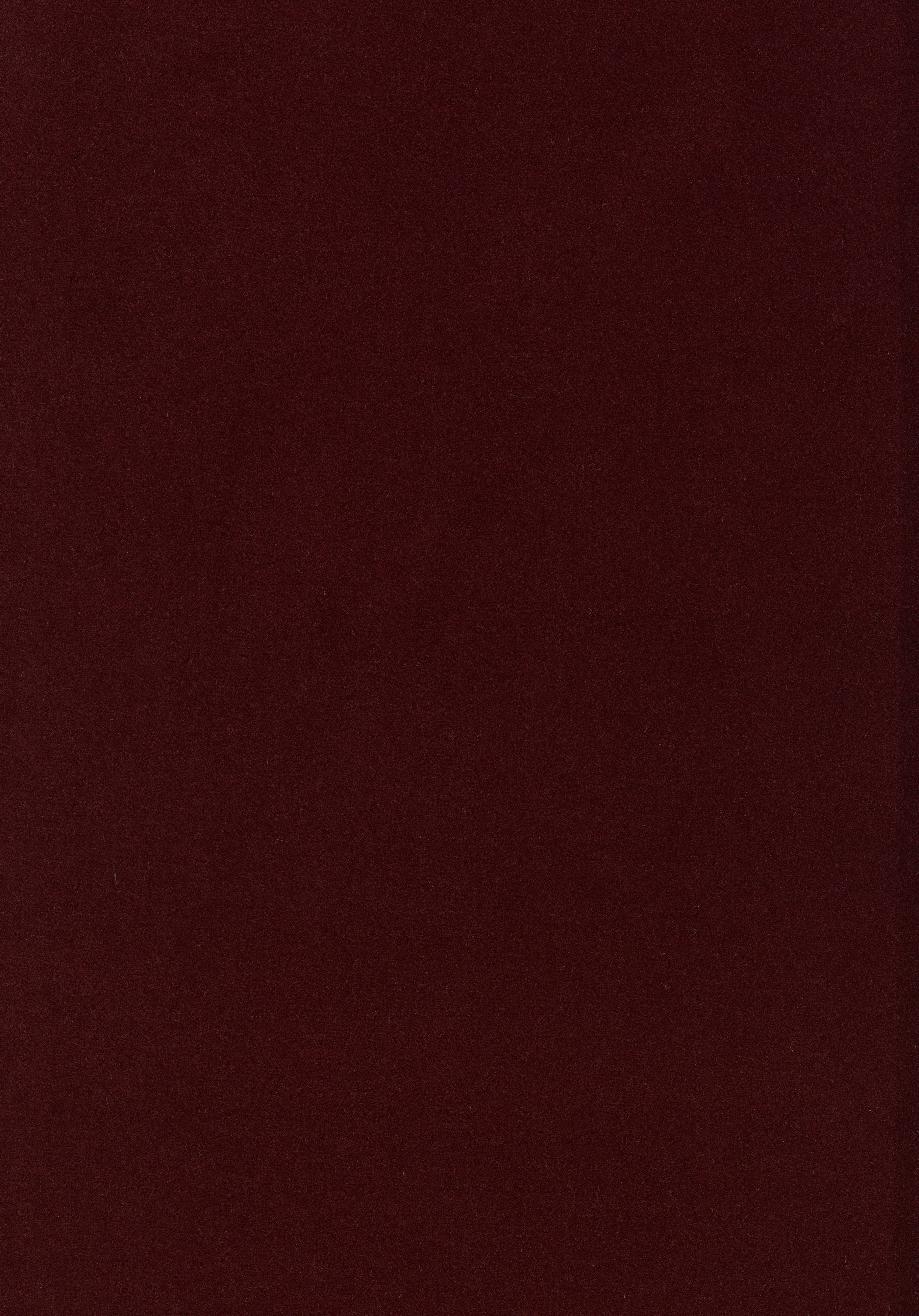 Kategorie W A7784 Harald - Bordeaux