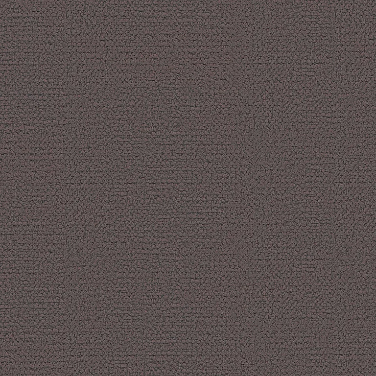 Mollis Truffle | B Category