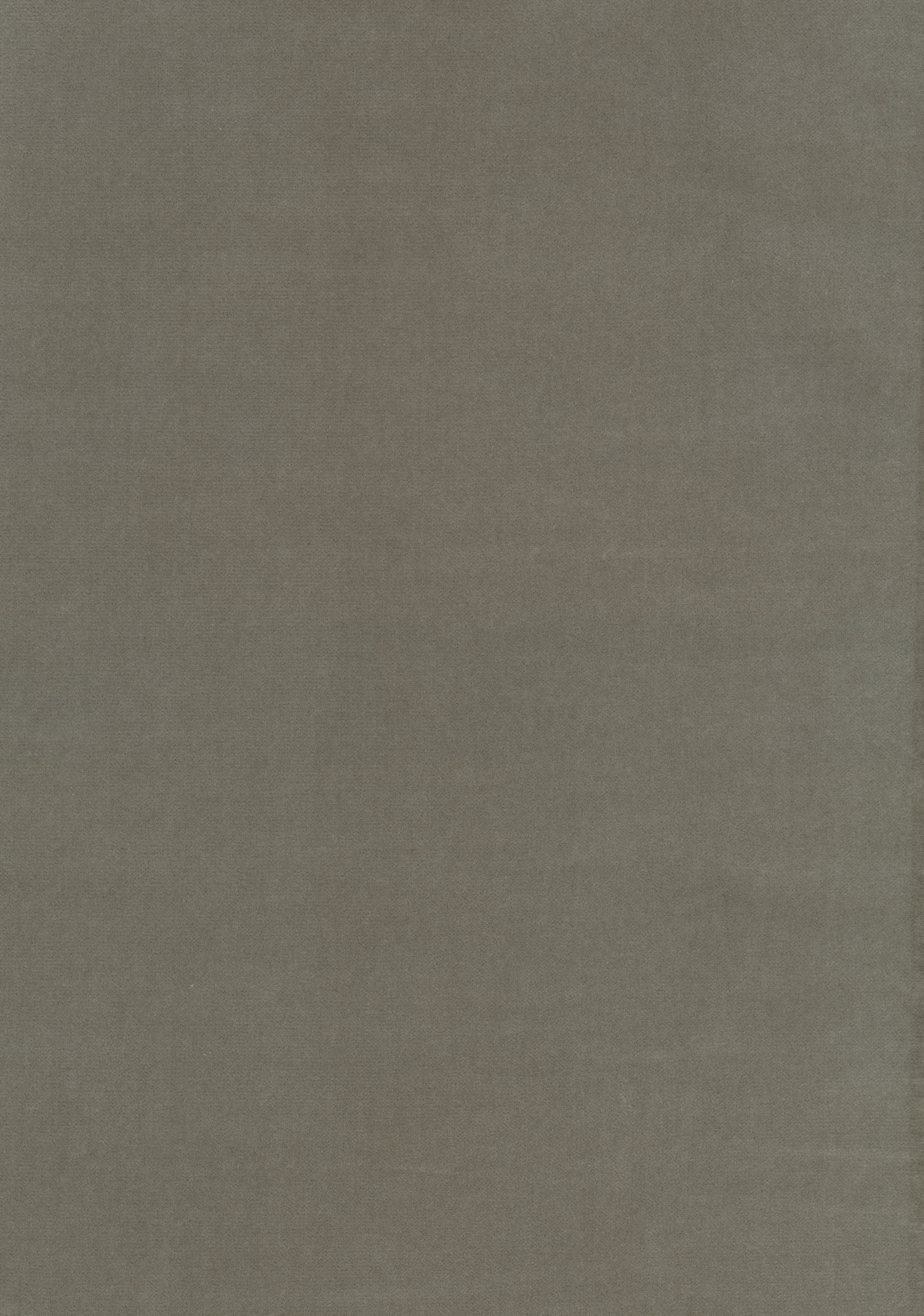 Kategorie W A6006 Harald - Grigio