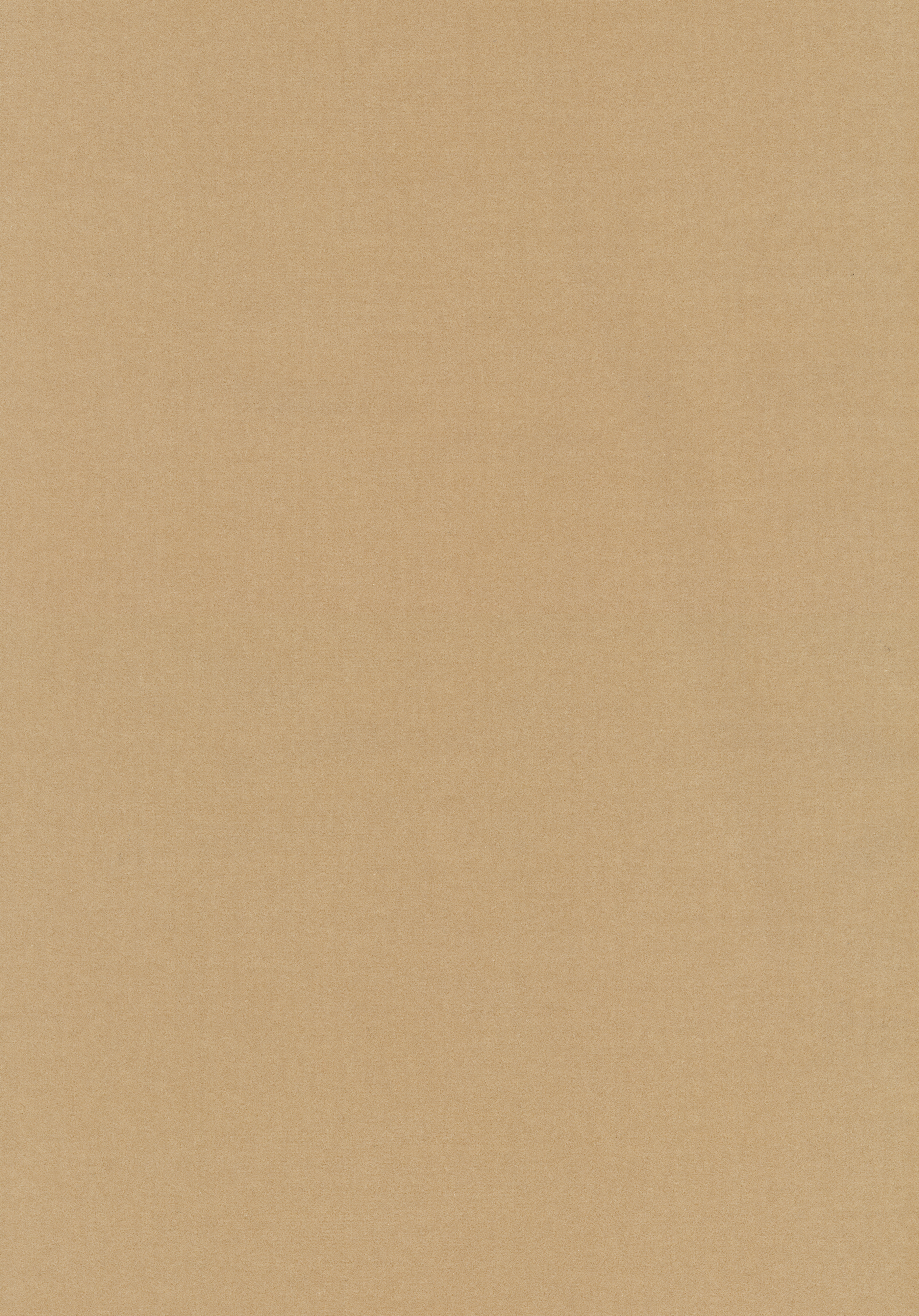 Kategorie W A5454 Harald - Beige