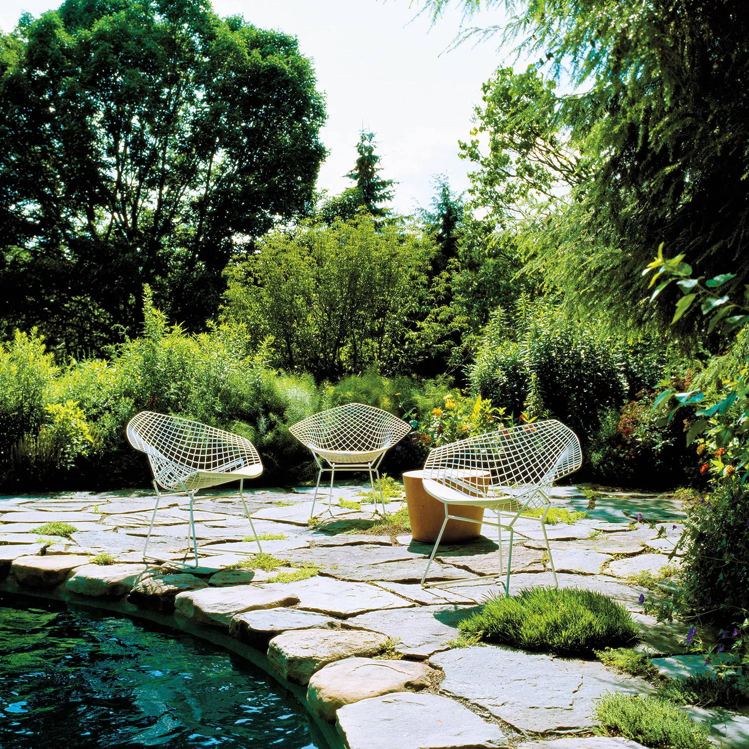 Drei Knoll Harry Bertoia Diamond Chairs stehen auf einer Steinterrasse im Garten umgeben von üppigem Grün und Bäumen