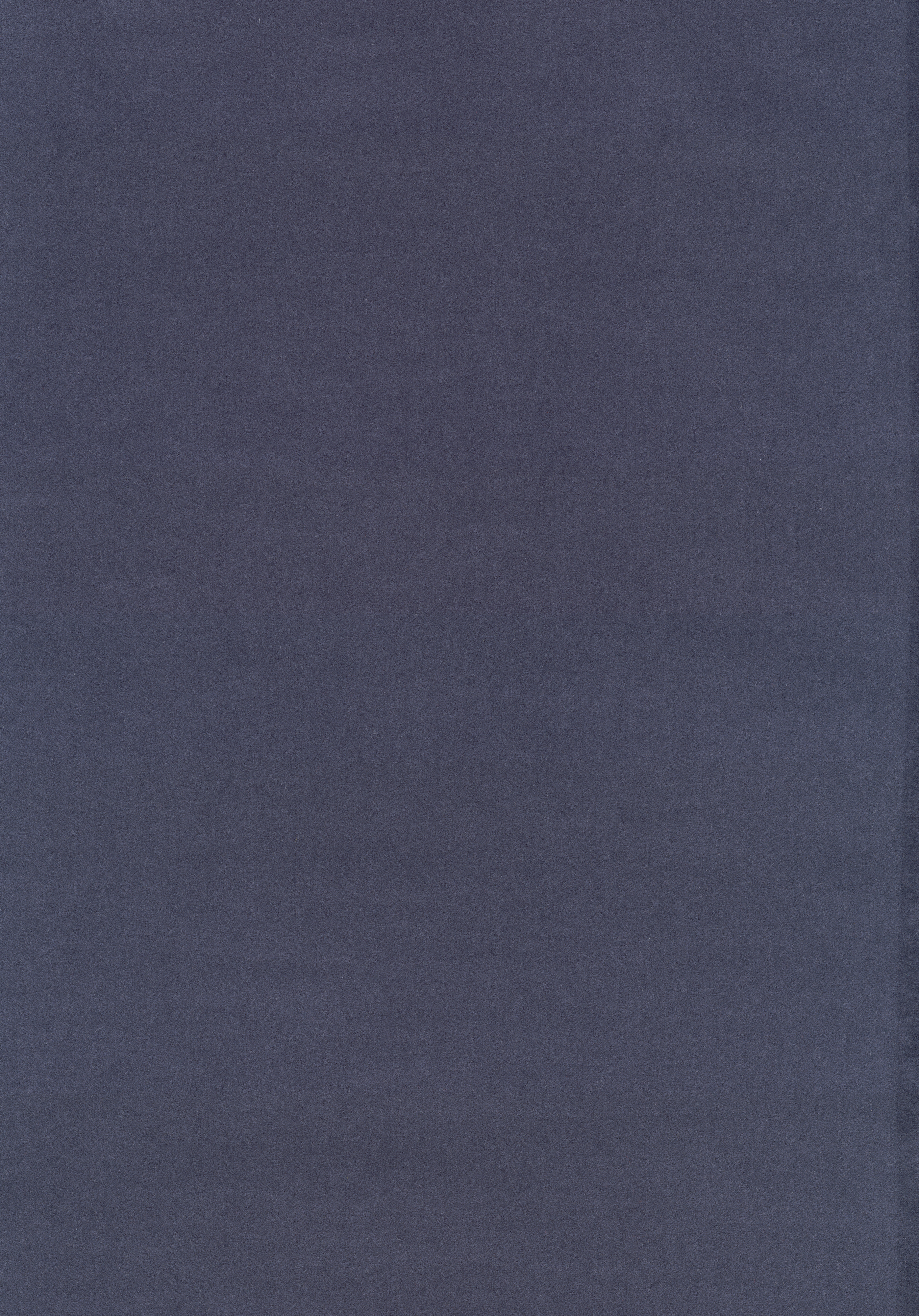 Kategorie W A7787 Harald - Lavanda