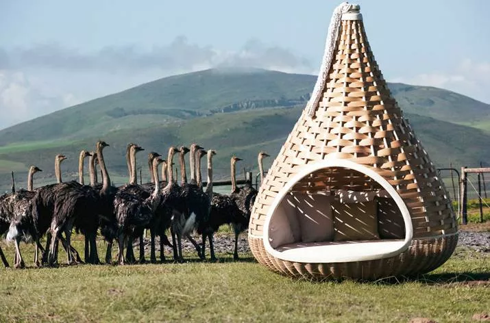 Dedon Nestrest rund 200 cm steht auf einer Wiese neben einer Gruppe von Straußen im Freien vor einer hügeligen Landschaft