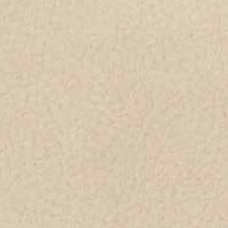 Leder Cat. VIP - Vogue 410