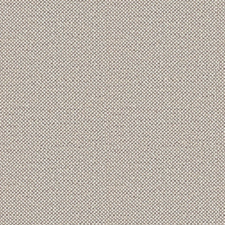 Damie 429.031 | B Category