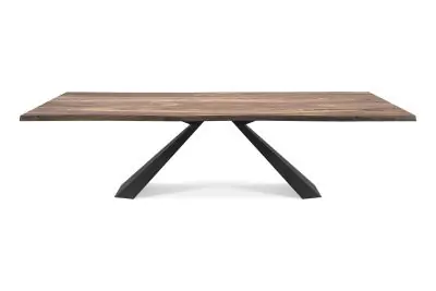 Cattelan Italia ELIOT WOOD table à manger • plateau en bois • différentes variantes