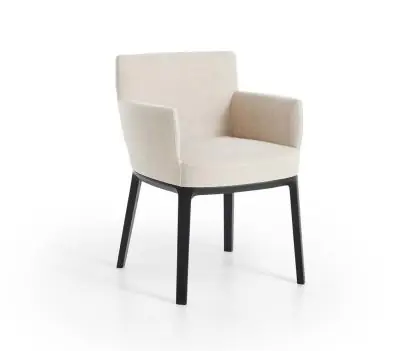 DePadova AMI chaise • avec accoudoirs